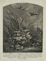 TvB G 4371
          <br/>
          Vos valt twee wilde ganzen aan
          <br/>
          <em>Ridinger, Martin Elias (ca. 1730-1780)</em>